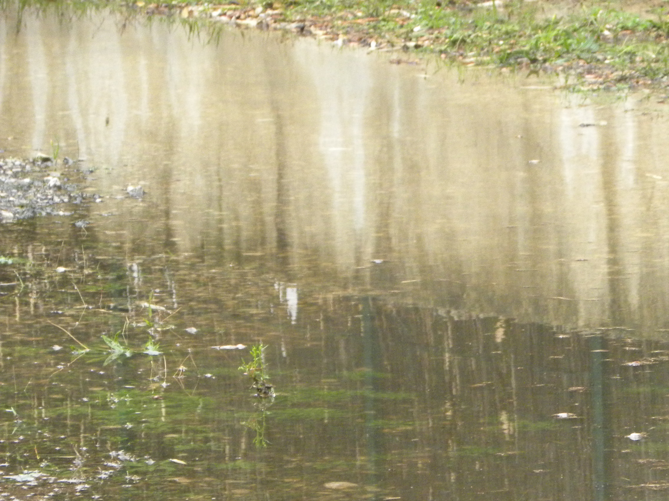 HYDROSOL Ingénierie, gestion des eaux pluviales, inondation sur terrain privé